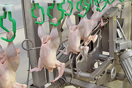 Poultry Processing Solution